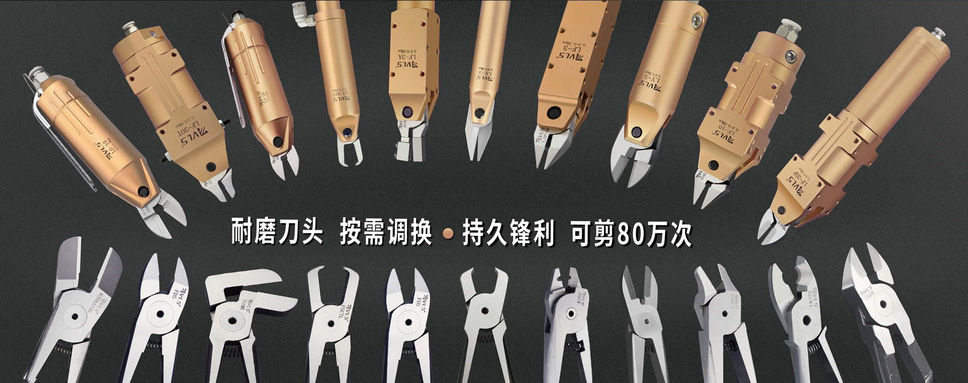 广东威莱仕科技有限公司